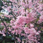 Thumbnail of related posts 164