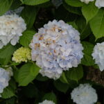 Thumbnail of related posts 159