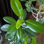 Thumbnail of related posts 135