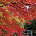 Thumbnail of related posts 146