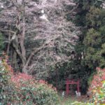 Thumbnail of related posts 189