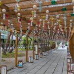 Thumbnail of post image 082